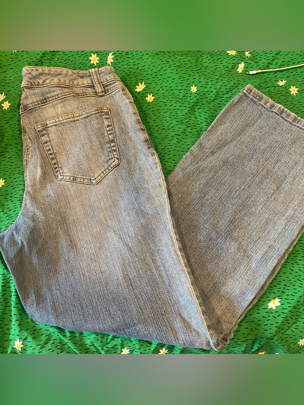 Jeans, INC International Concepts Petite w/Stretch